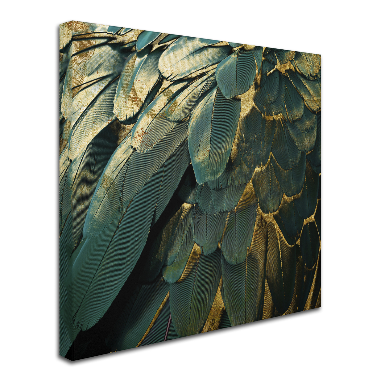 Color Bakery 'Feather Glitter' Huge Canvas Art 35 X 35