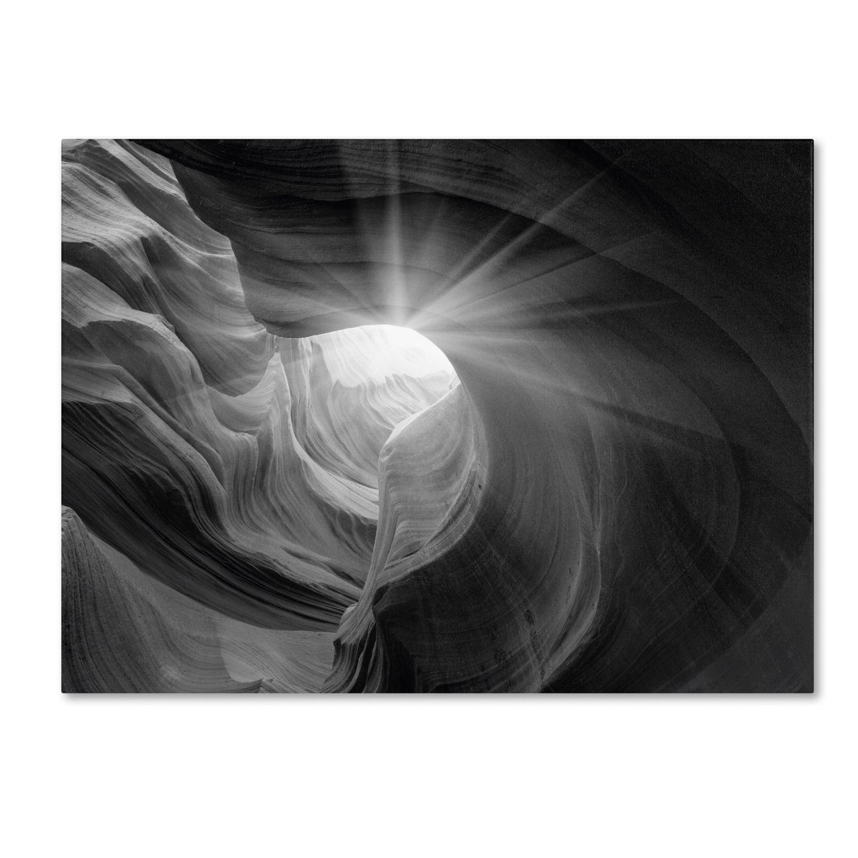 Moises Levy 'Searching Light I' Canvas Art 16 X 24