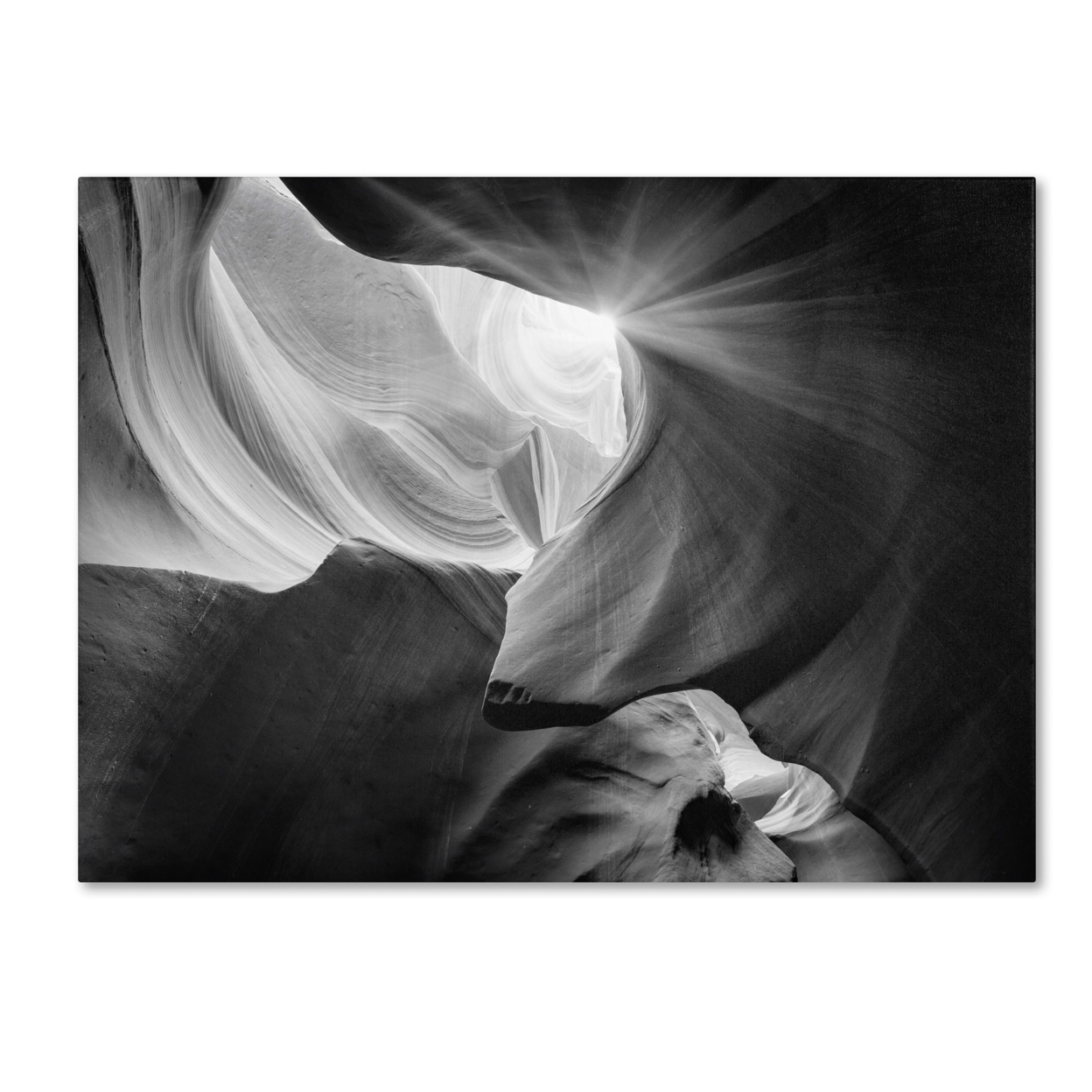 Moises Levy 'Searching Light IV' Canvas Art 16 X 24