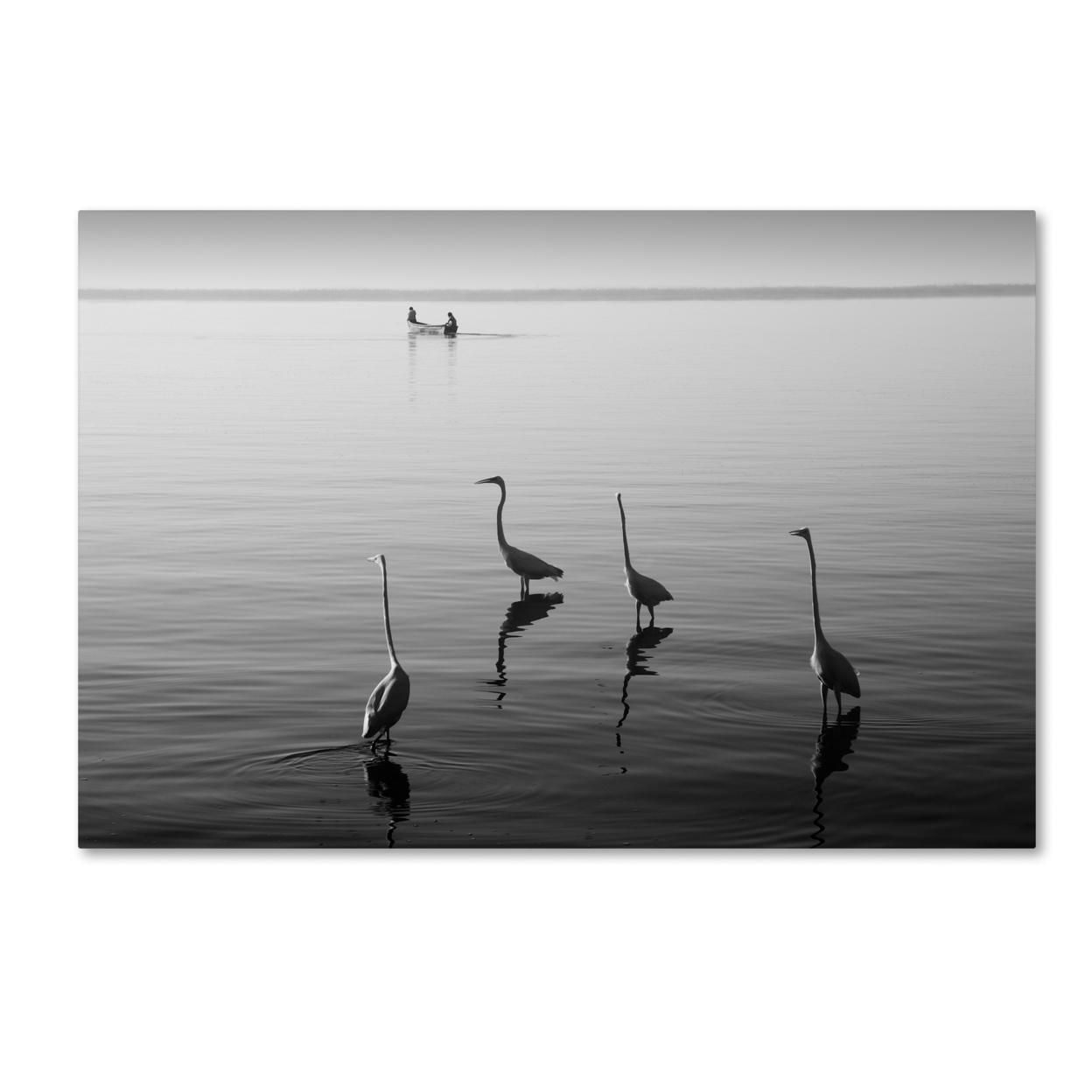 Moises Levy '4 Herons And Boat' Canvas Art 16 X 24