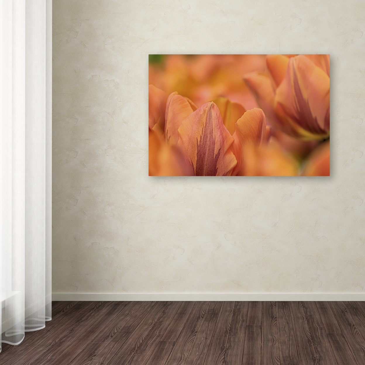 Cora Niele 'Orange Tulips' Canvas Art 16 X 24