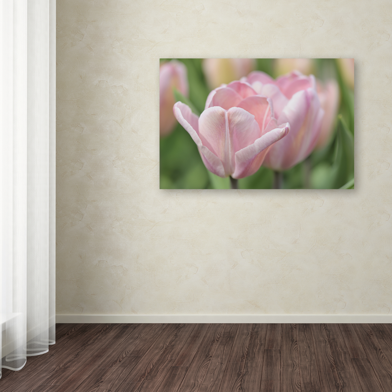 Cora Niele 'Pink Tulip Baronesse' Canvas Art 16 X 24