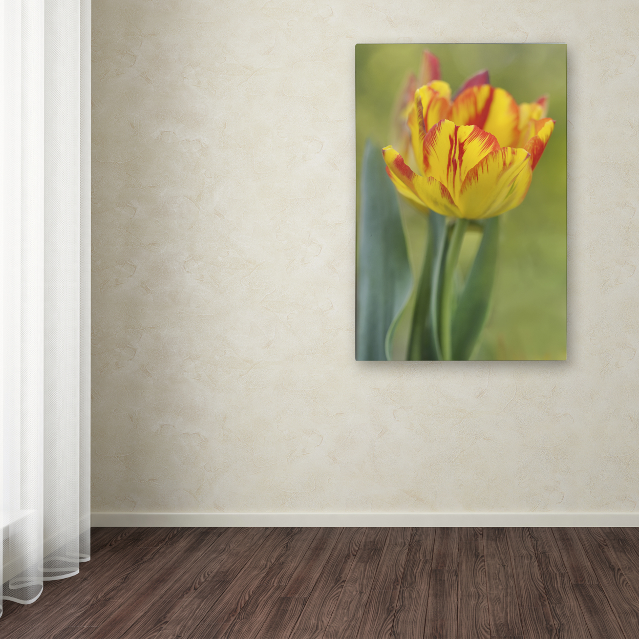 Cora Niele 'Rembrandt Tulip' Canvas Art 16 X 24