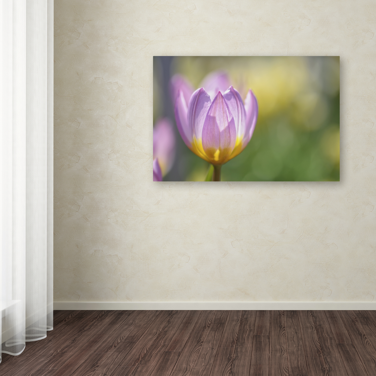 Cora Niele 'Tulip ?Lilac Wonder'' Canvas Art 16 X 24