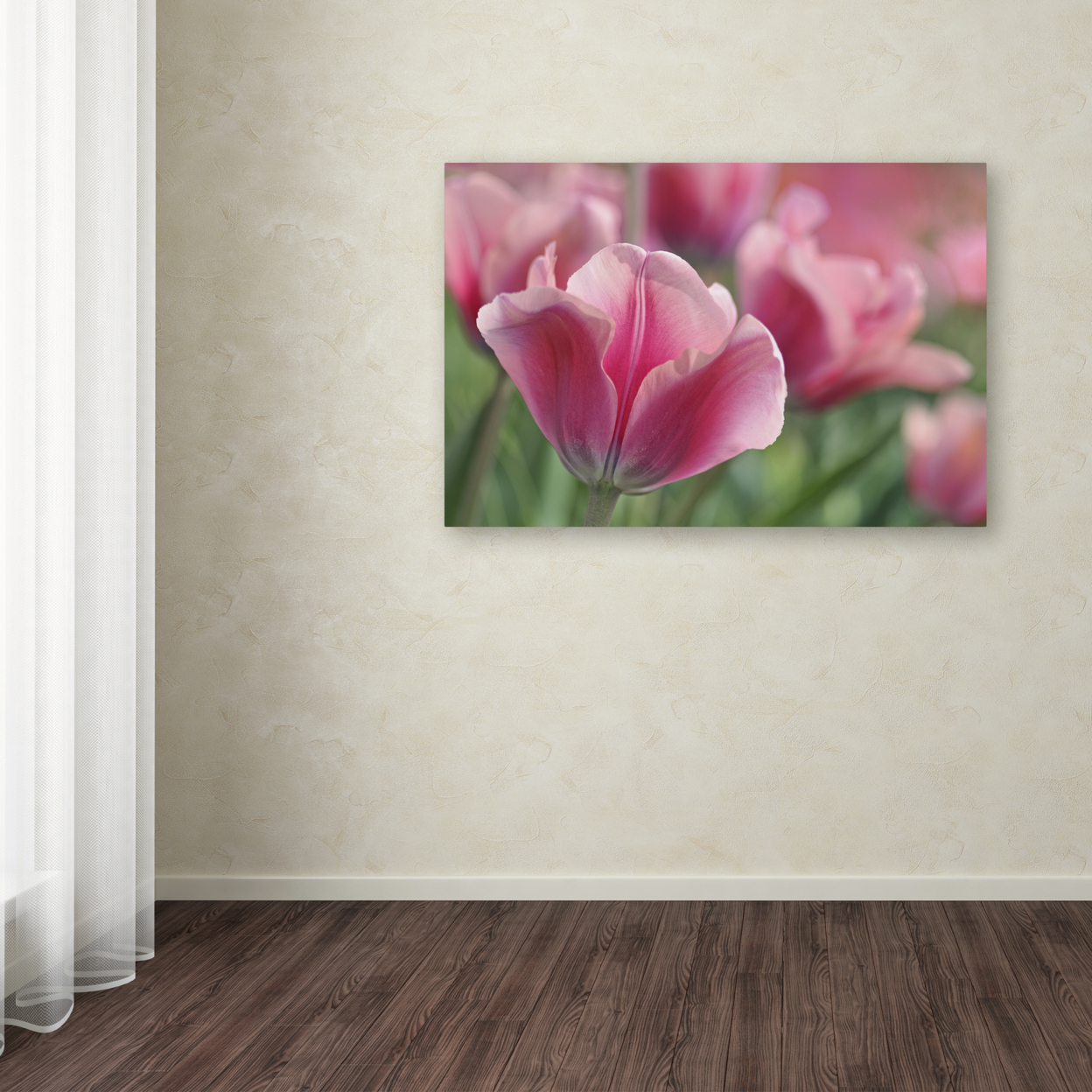 Cora Niele 'Tulip Mirella Pink' Canvas Art 16 X 24
