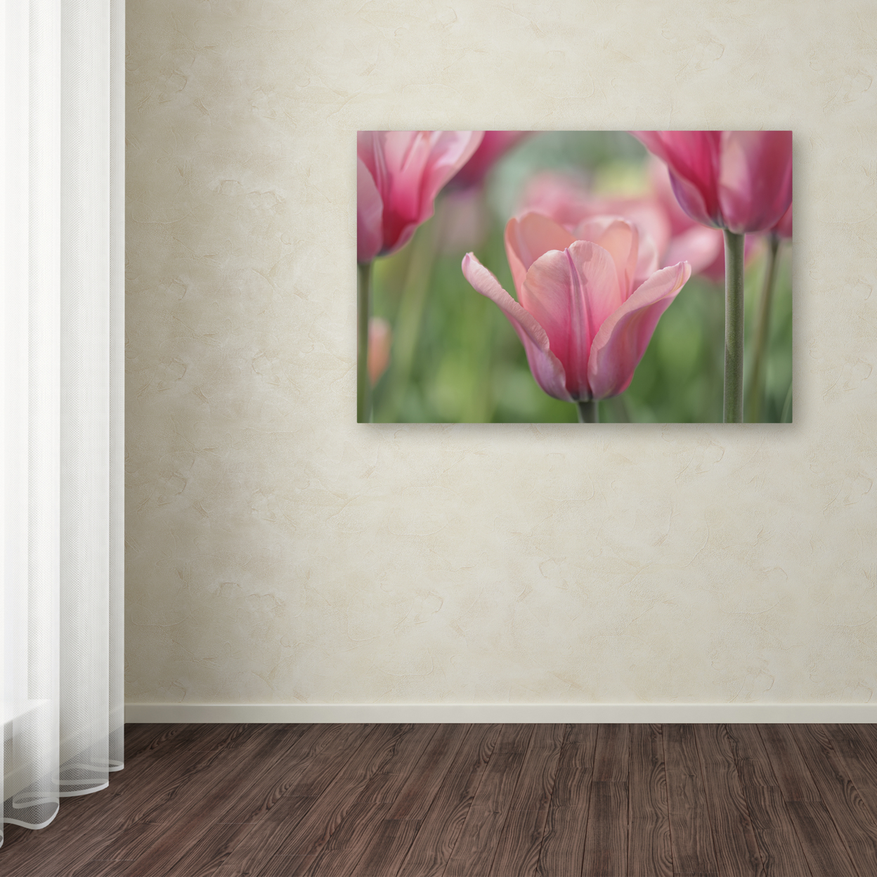 Cora Niele 'Tulip Mirella' Canvas Art 16 X 24