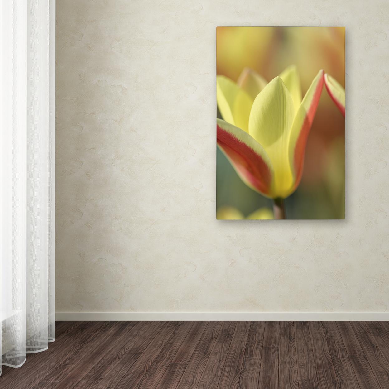 Cora Niele 'Tulip Tinka' Canvas Art 16 X 24