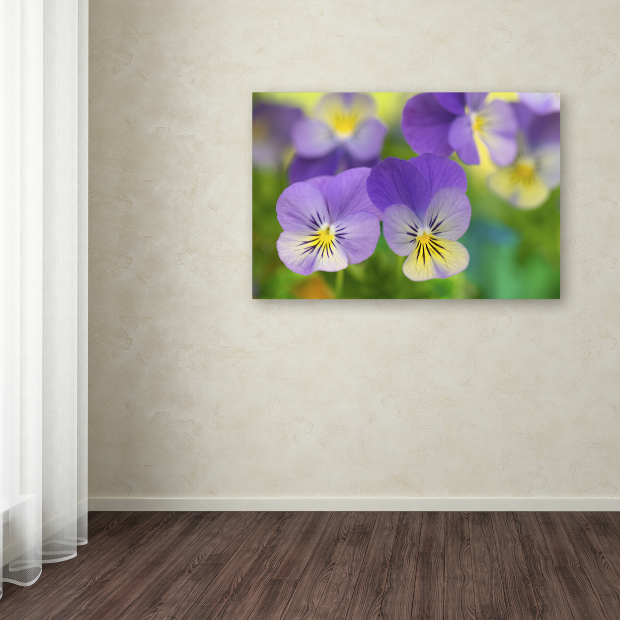 Cora Niele 'Violets' Canvas Art 16 X 24
