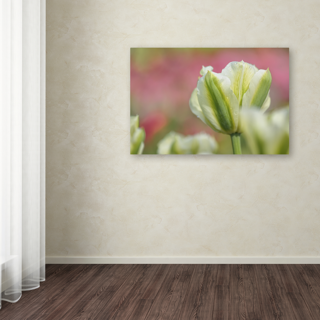 Cora Niele 'White And Green Tulip' Canvas Art 16 X 24