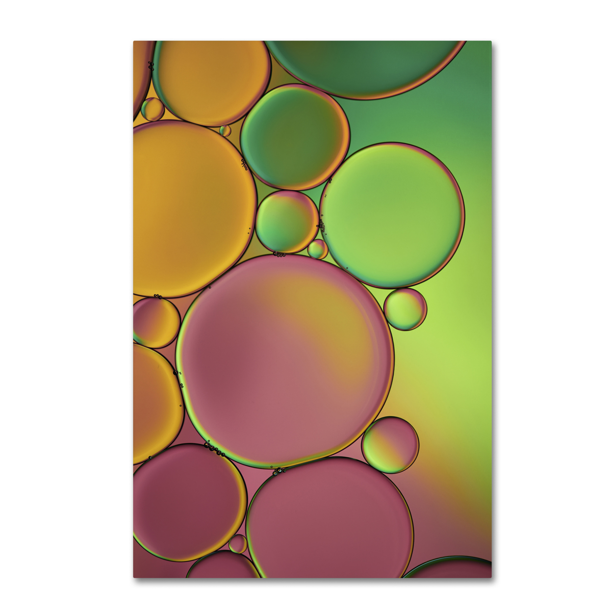 Cora Niele 'Green And Orange Drops' Canvas Art 16 X 24