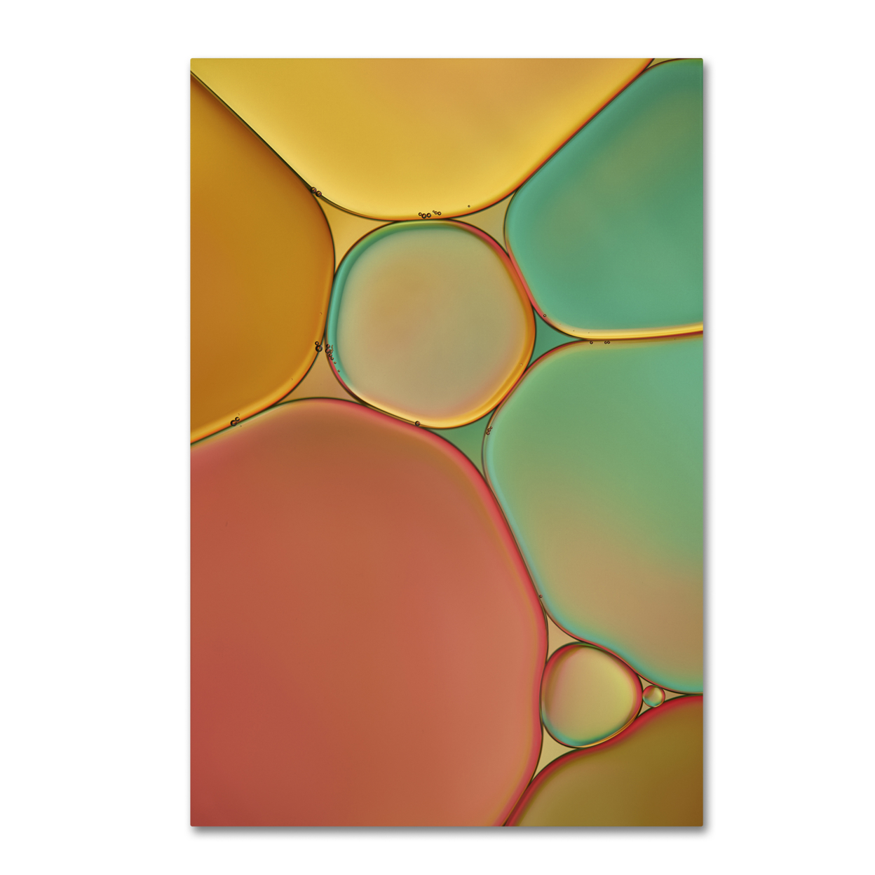 Cora Niele 'Red Yellow And Green Drops' Canvas Art 16 X 24