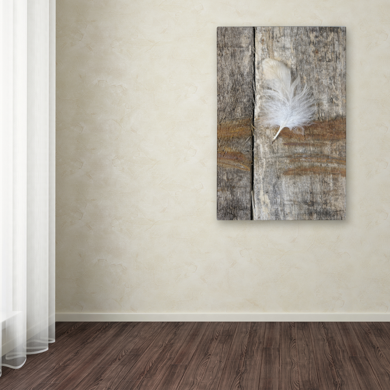 Cora Niele 'Feather On Wood I' Canvas Art 16 X 24