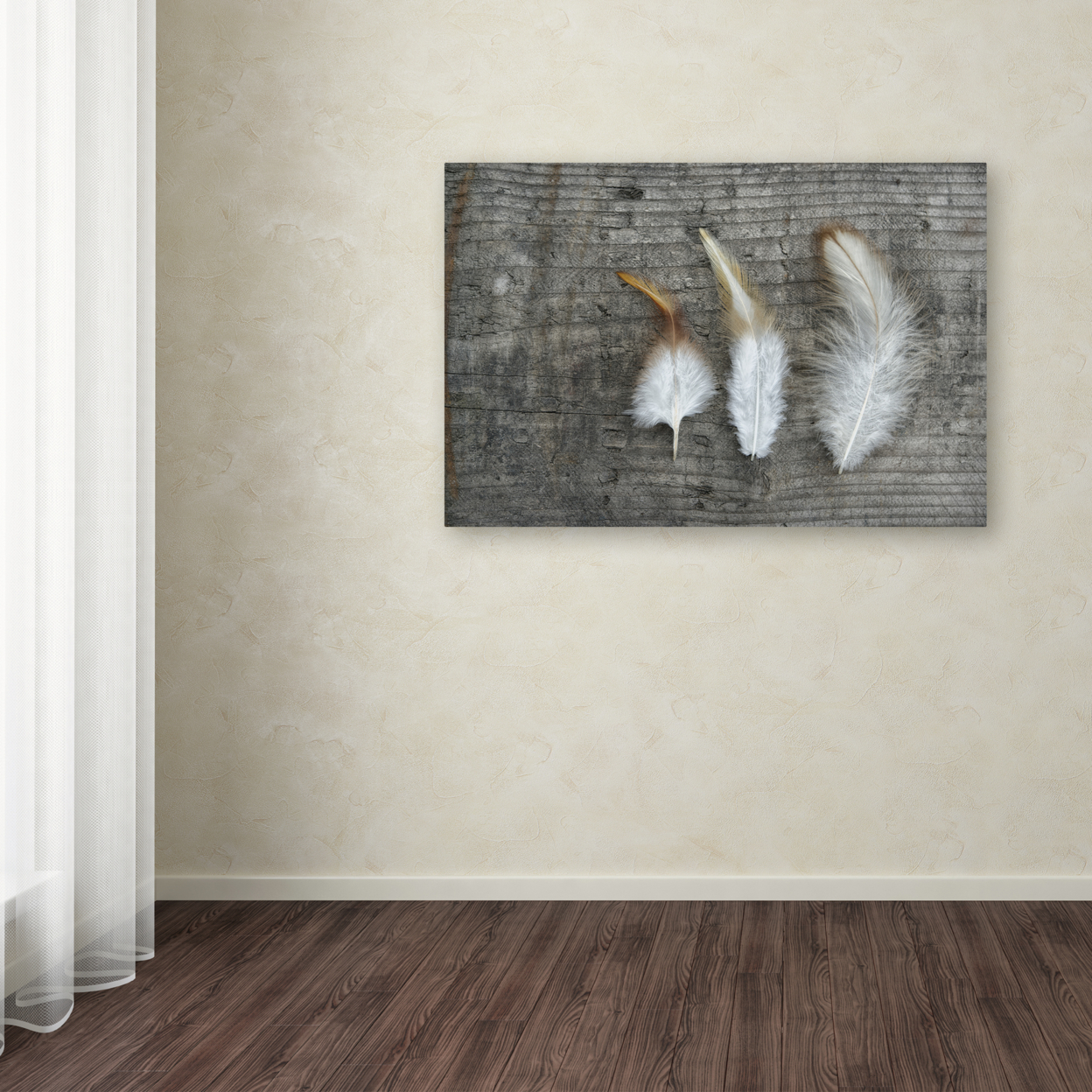 Cora Niele 'Three Feathers On Wood' Canvas Art 16 X 24