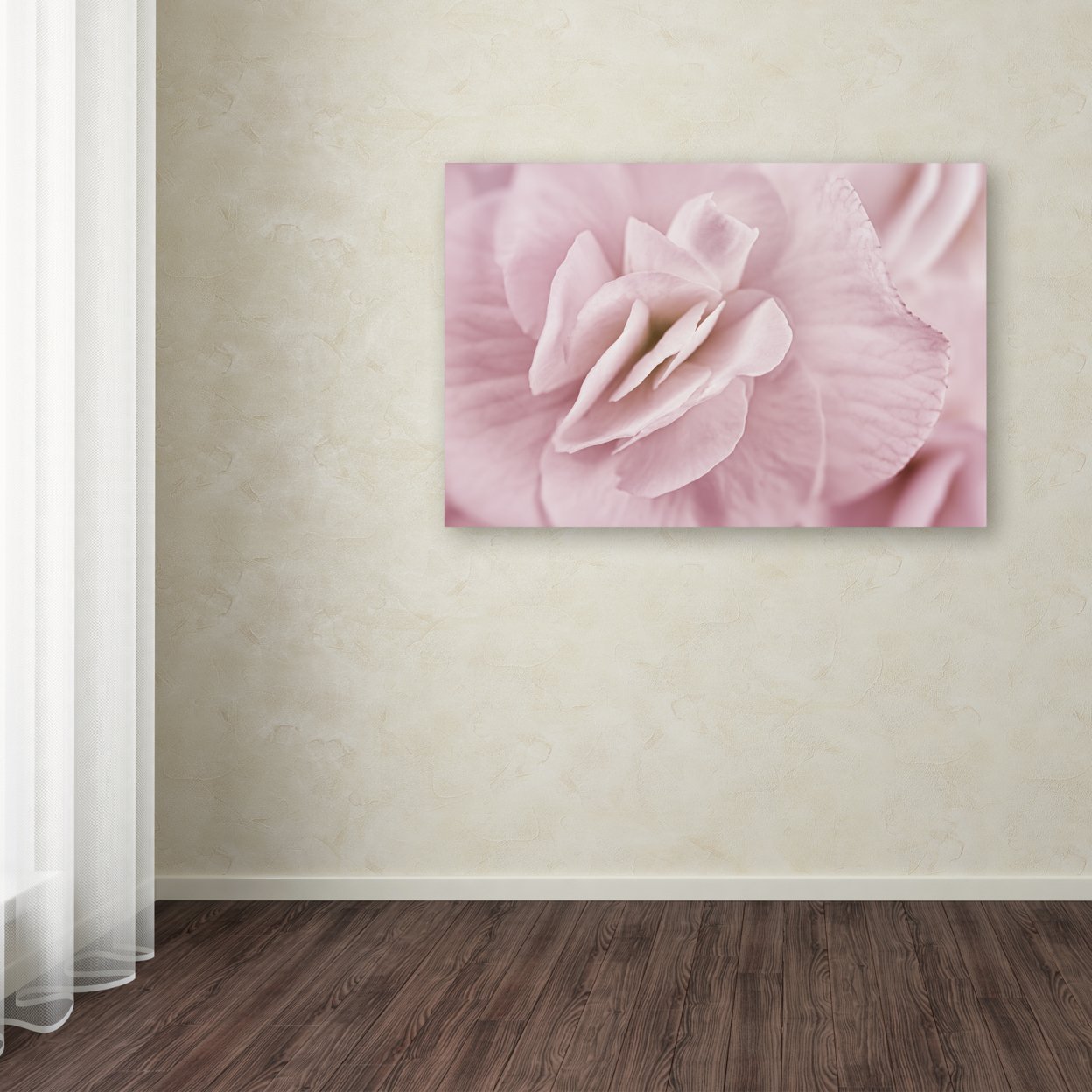 Cora Niele 'Begonia Flower' Canvas Art 16 X 24