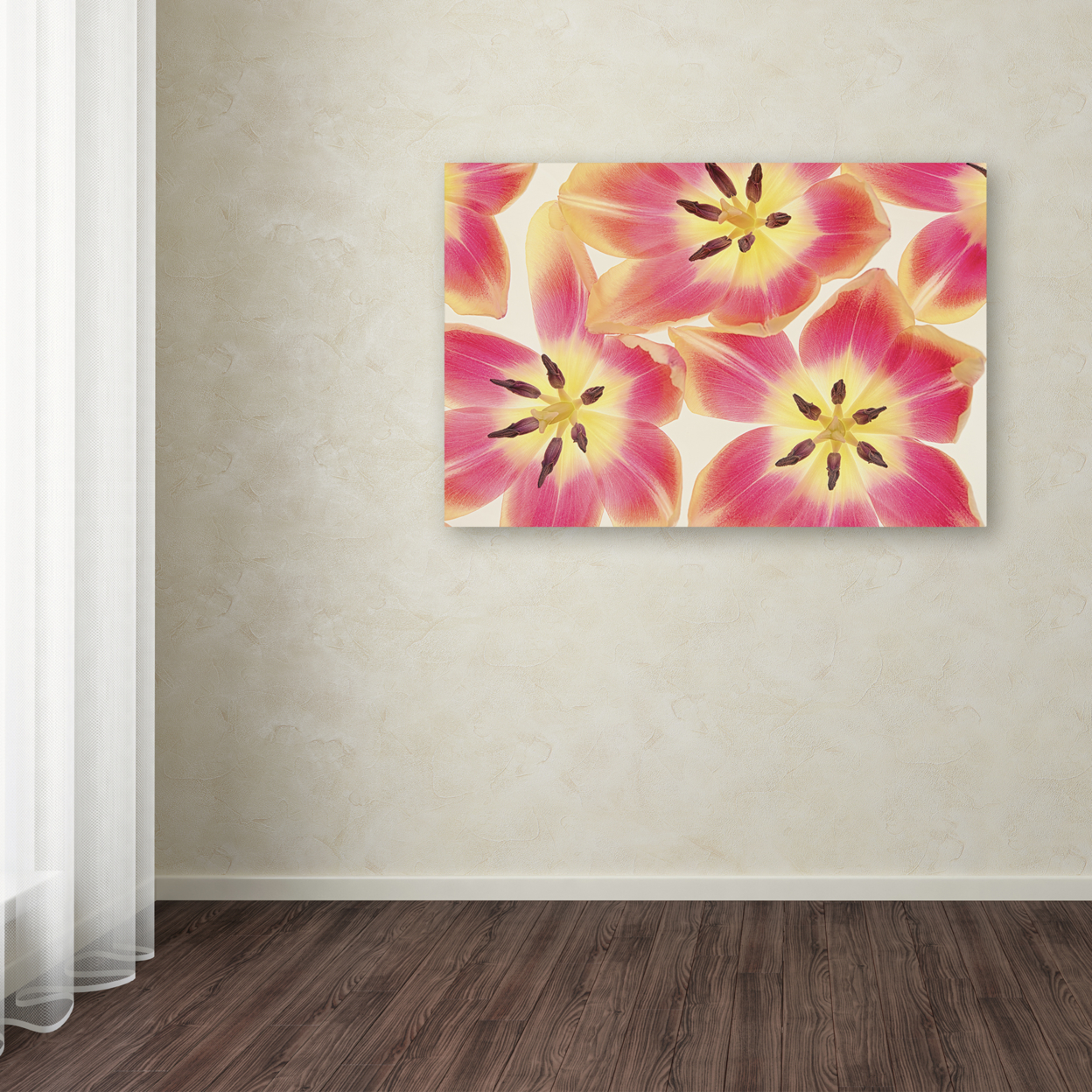 Cora Niele 'Cerise And Yellow Tulips' Canvas Art 16 X 24