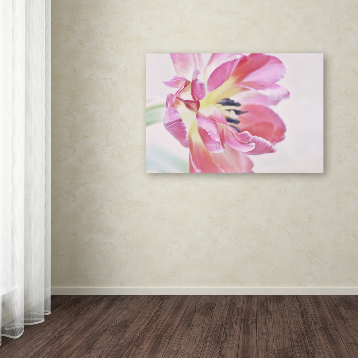 Cora Niele 'Cerise Tulip' Canvas Art 16 X 24