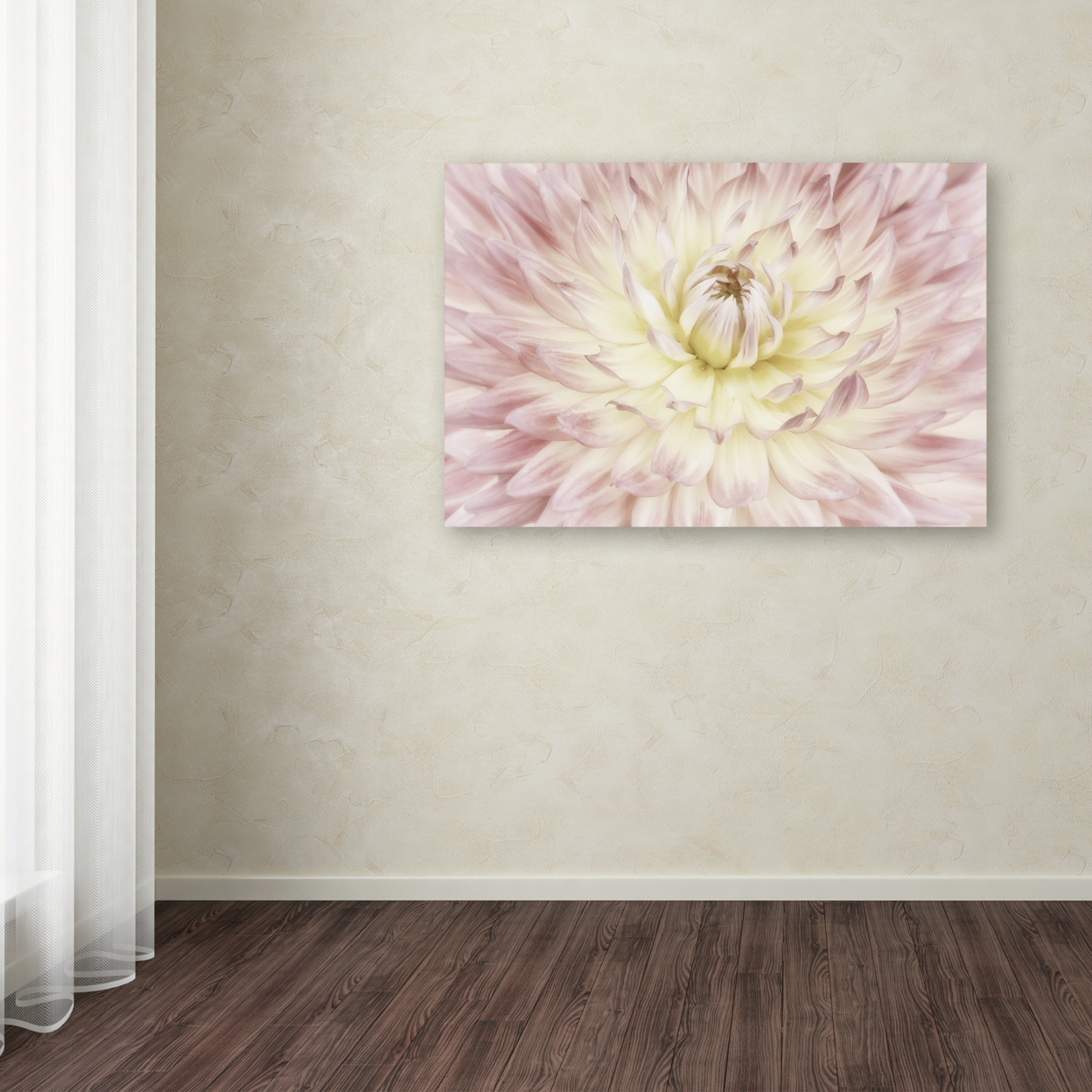 Cora Niele 'Dahlia Flower' Canvas Art 16 X 24