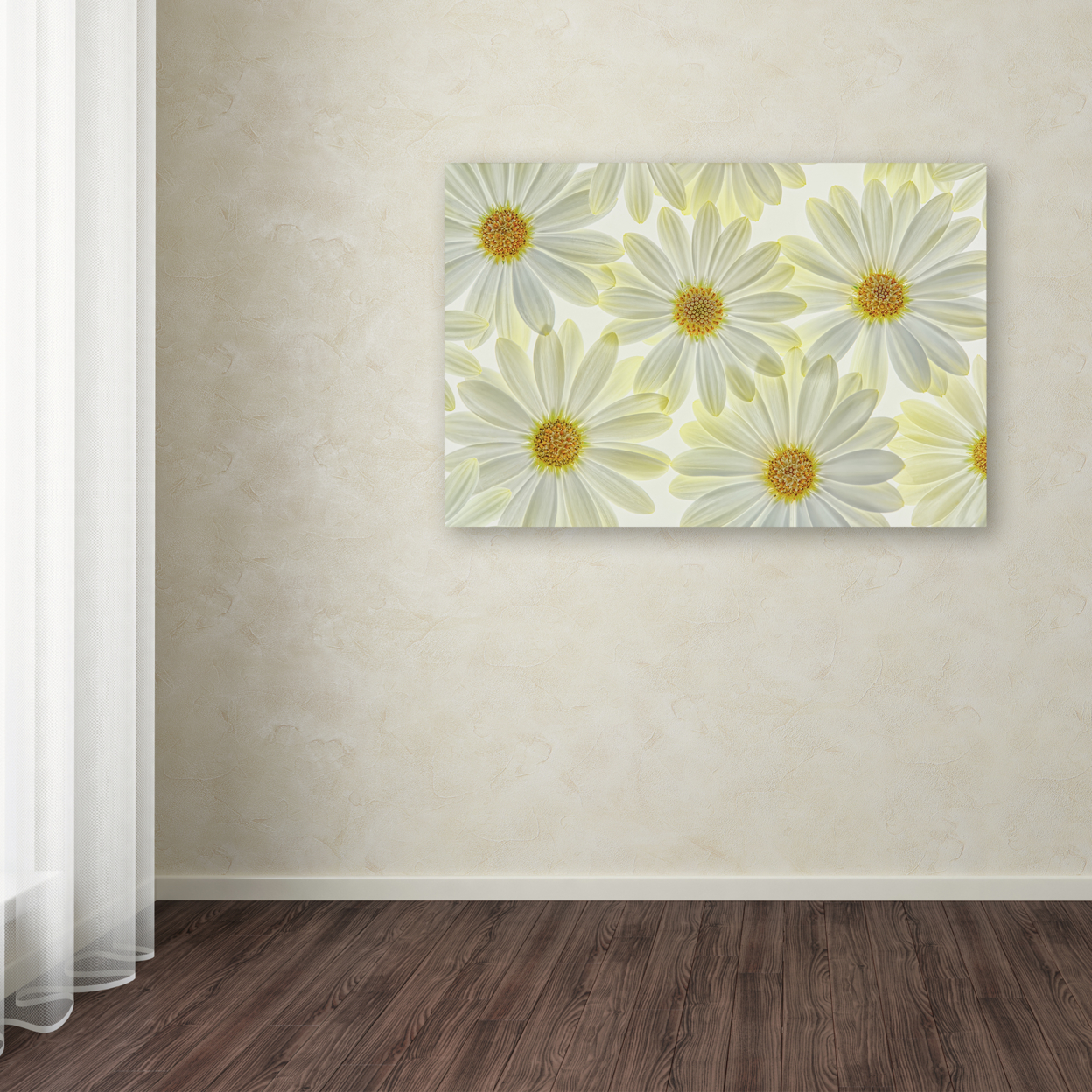Cora Niele 'Daisy Flowers' Canvas Art 16 X 24
