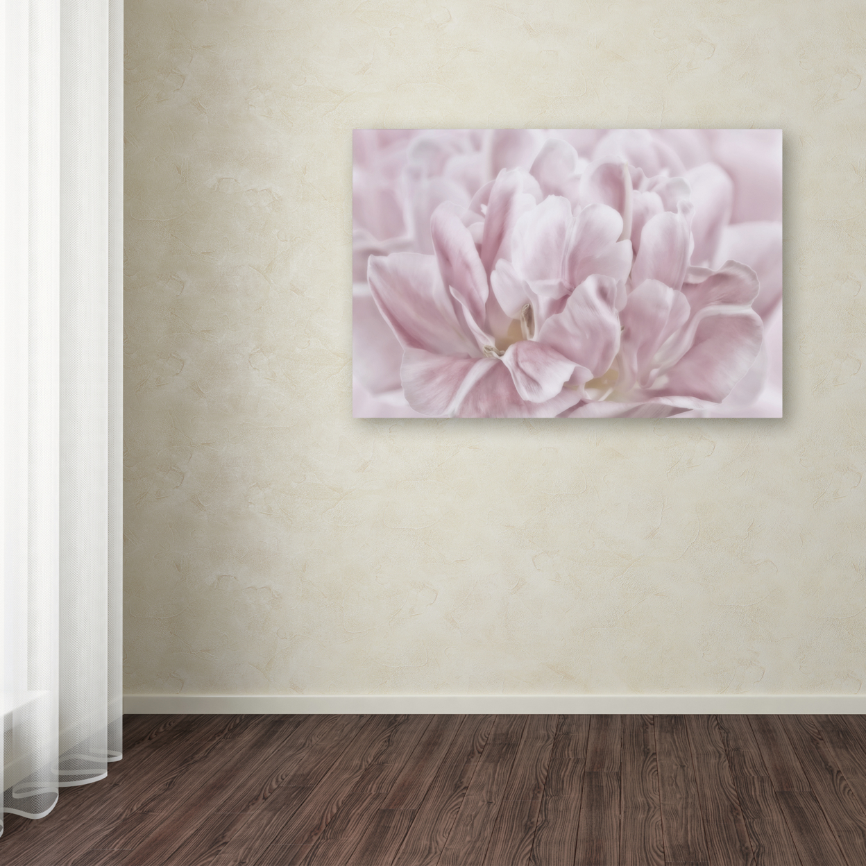 Cora Niele 'Double Pink Tulip' Canvas Art 16 X 24