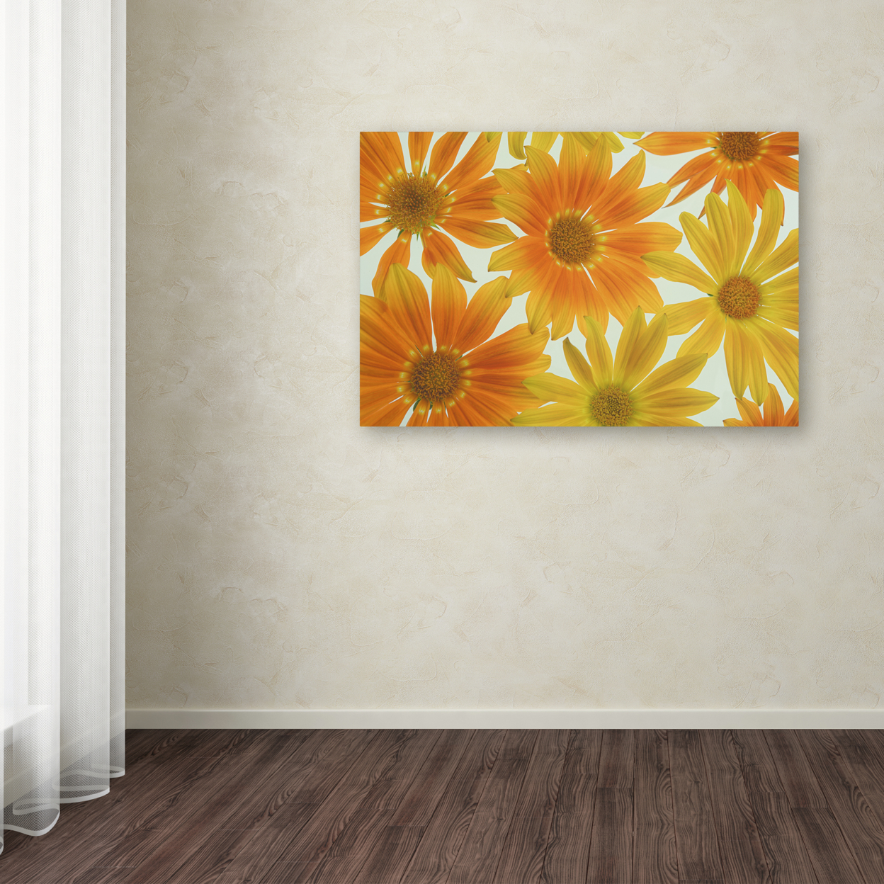 Cora Niele 'Orange Daisies' Canvas Art 16 X 24