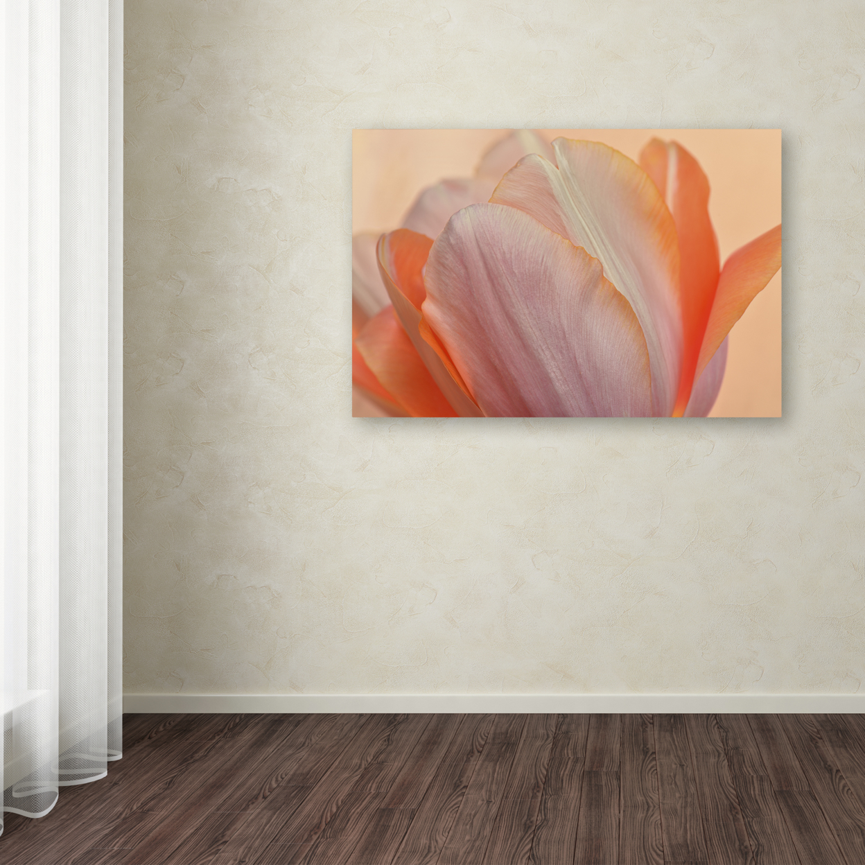 Cora Niele 'Orange Glowing Tulip' Canvas Art 16 X 24