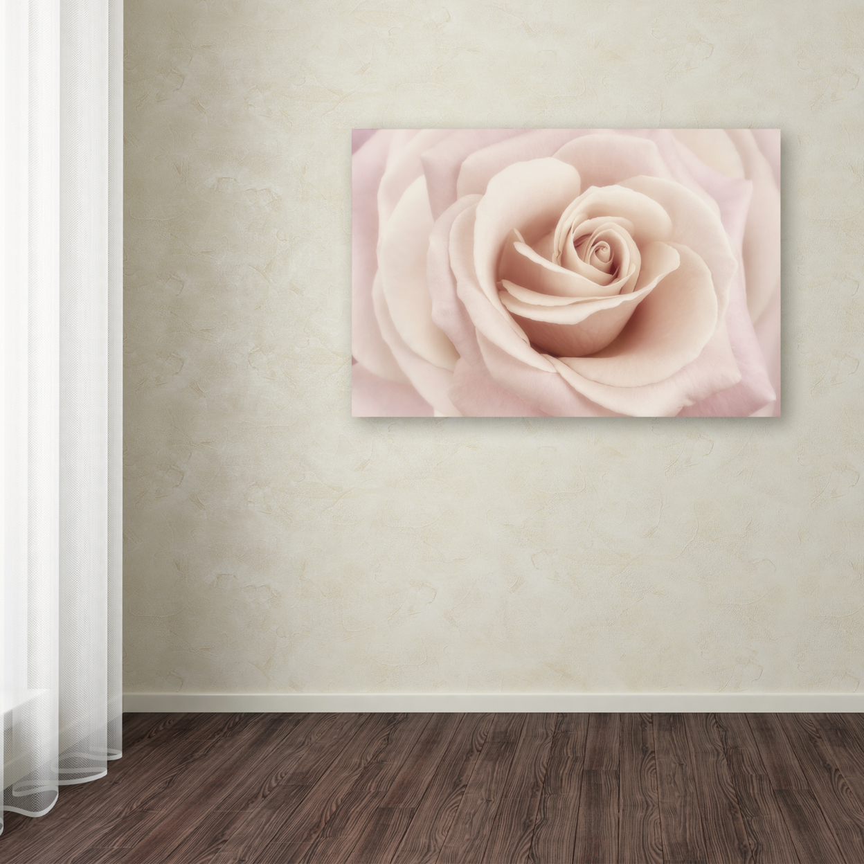 Cora Niele 'Peach Pink Rose' Canvas Art 16 X 24