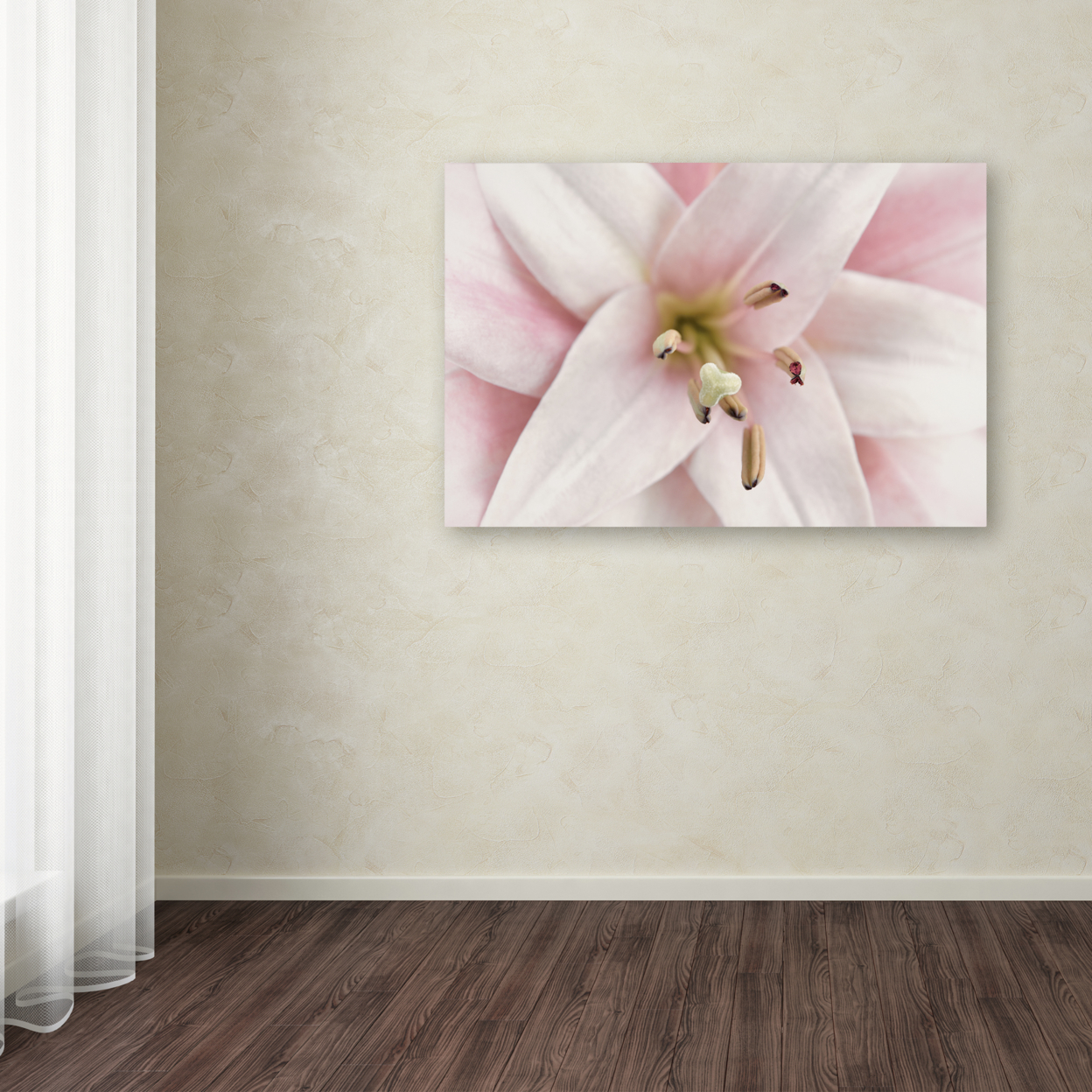 Cora Niele 'Pink Lily' Canvas Art 16 X 24