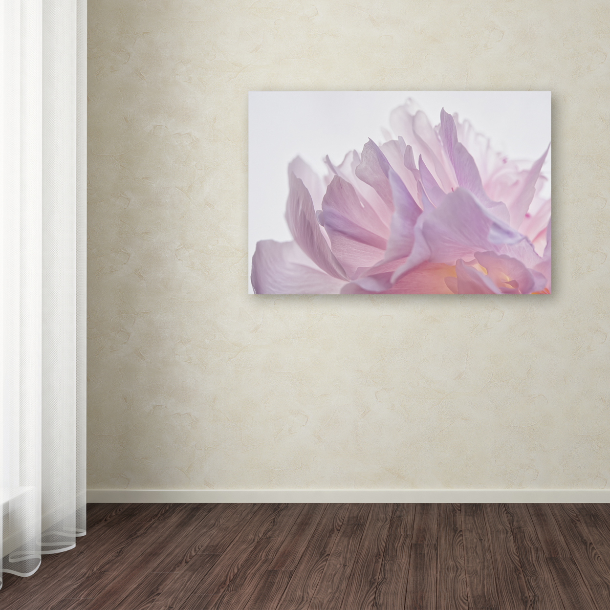 Cora Niele 'Pink Peony Petals VI' Canvas Art 16 X 24