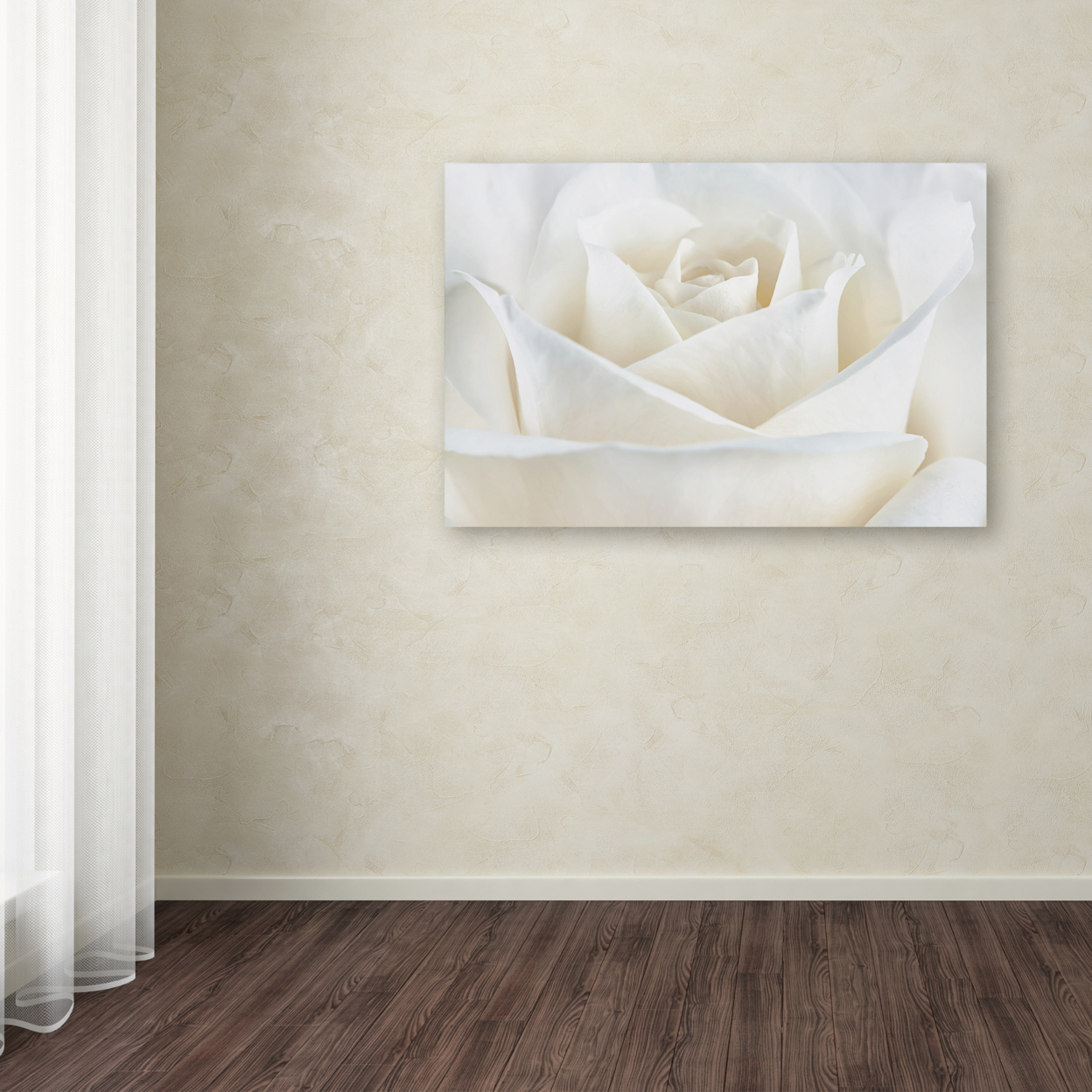 Cora Niele 'Pure White Rose' Canvas Art 16 X 24