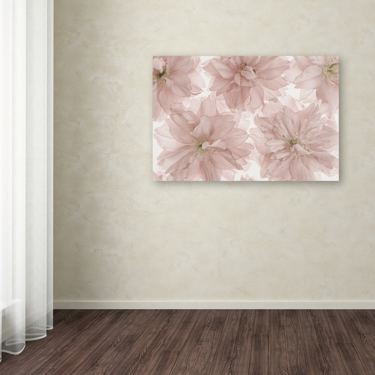 Cora Niele 'Prunus Blossom' Canvas Art 16 X 24