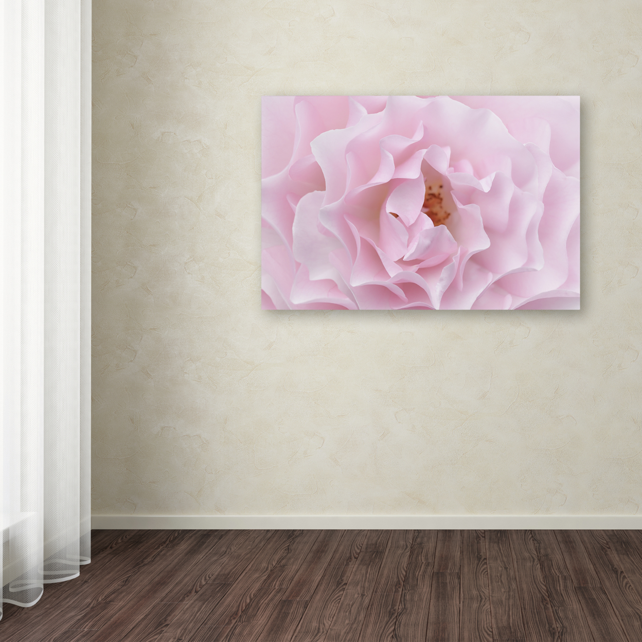 Cora Niele 'Rose Pink Rose' Canvas Art 16 X 24