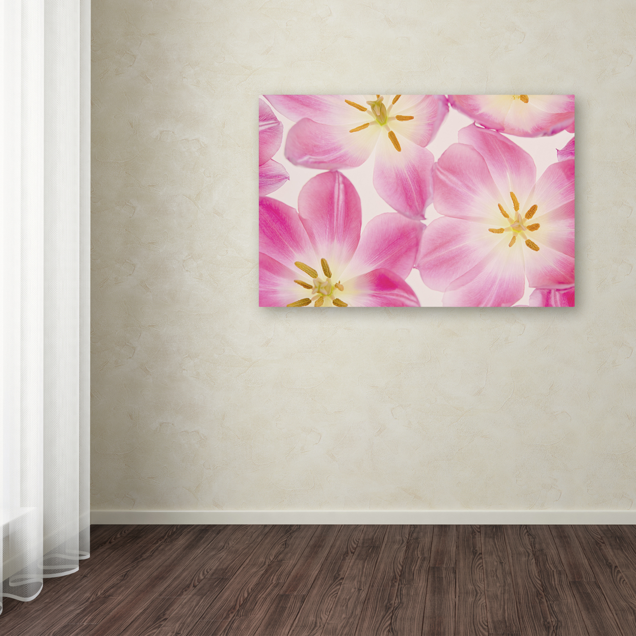 Cora Niele 'Three Cerise Pink Tulips' Canvas Art 16 X 24
