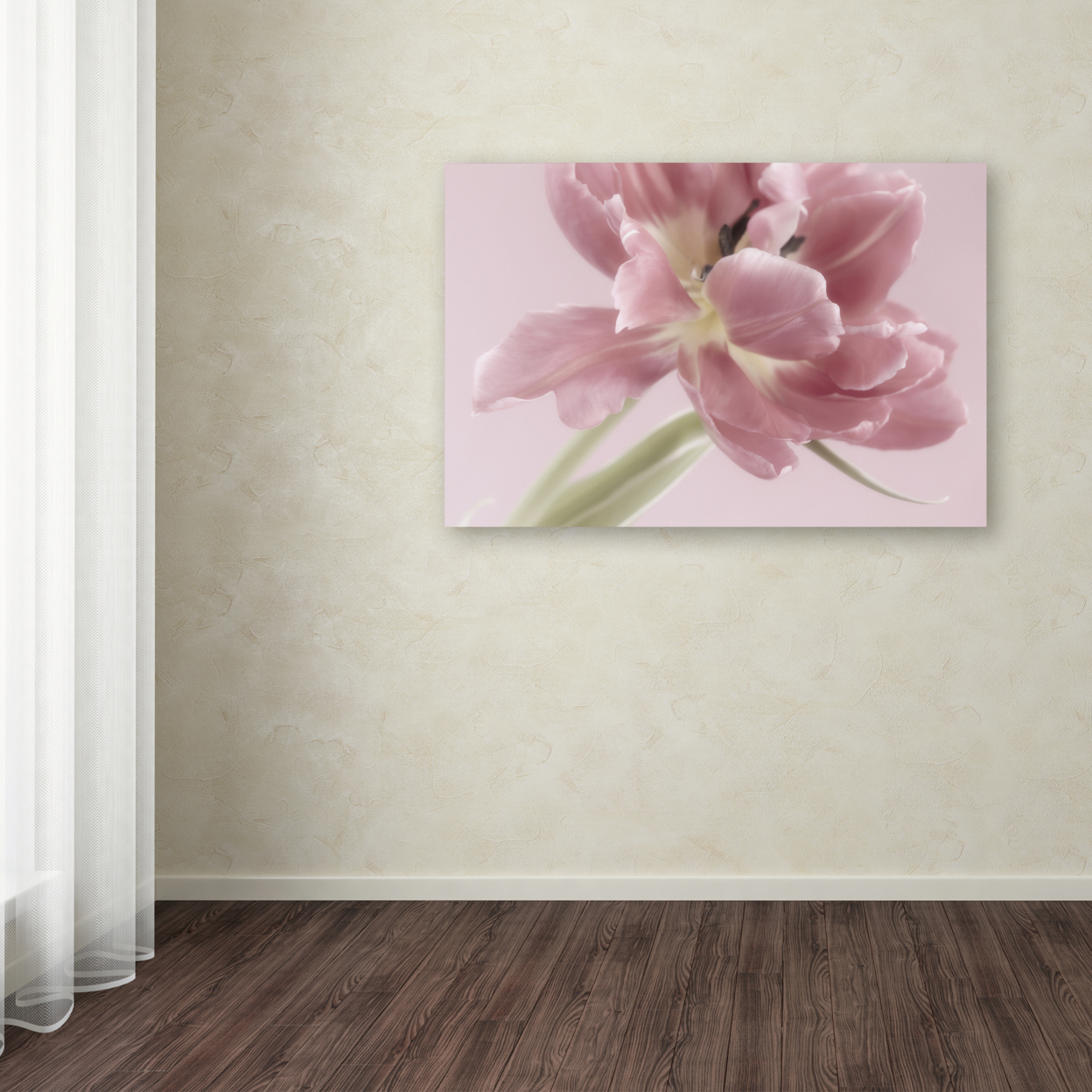 Cora Niele 'Soft Pink Tulip' Canvas Art 16 X 24