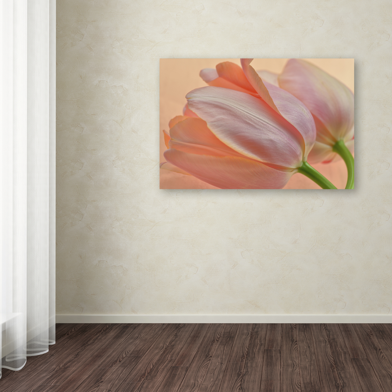 Cora Niele 'Two Orange Tulips' Canvas Art 16 X 24