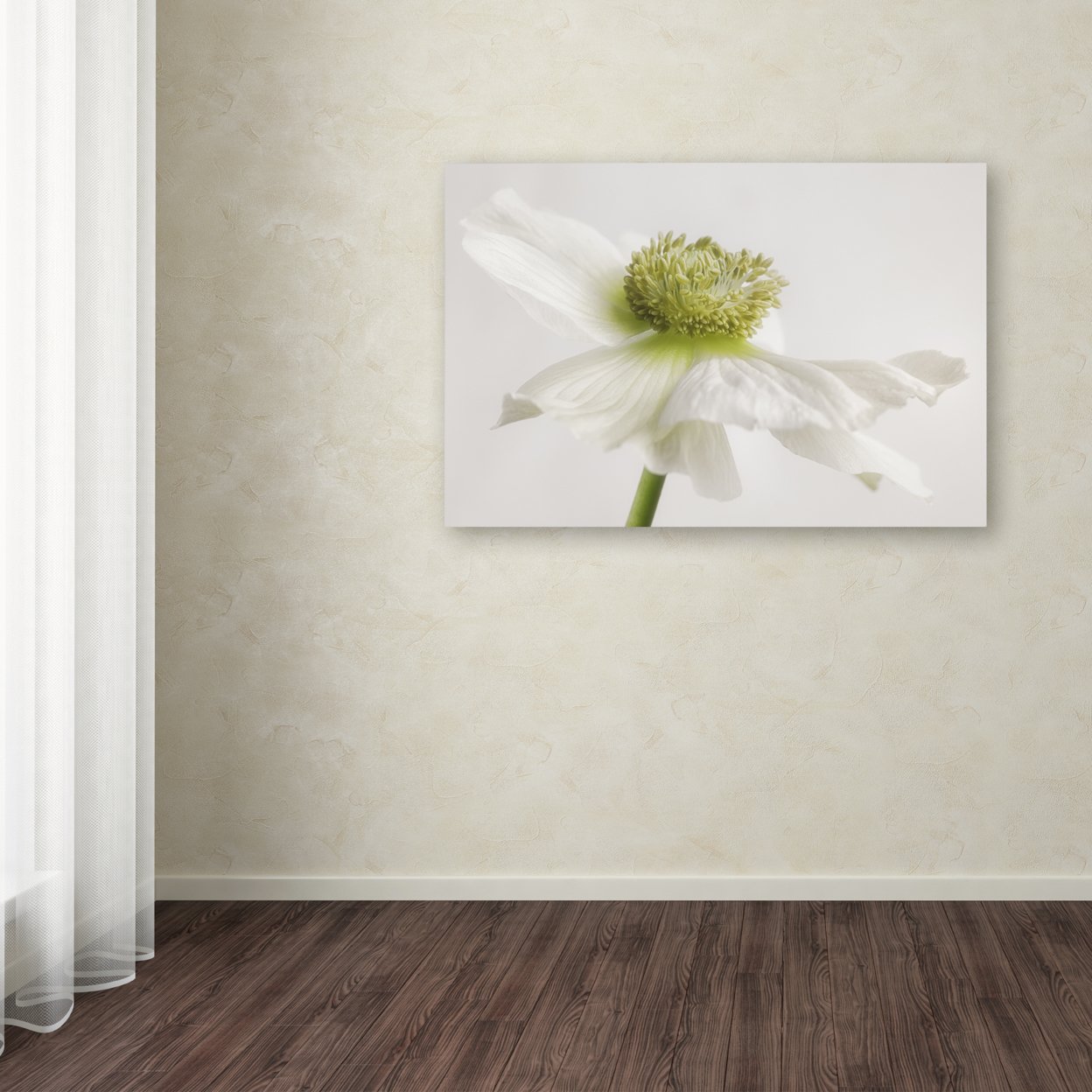 Cora Niele 'White Anemone Flower' Canvas Art 16 X 24