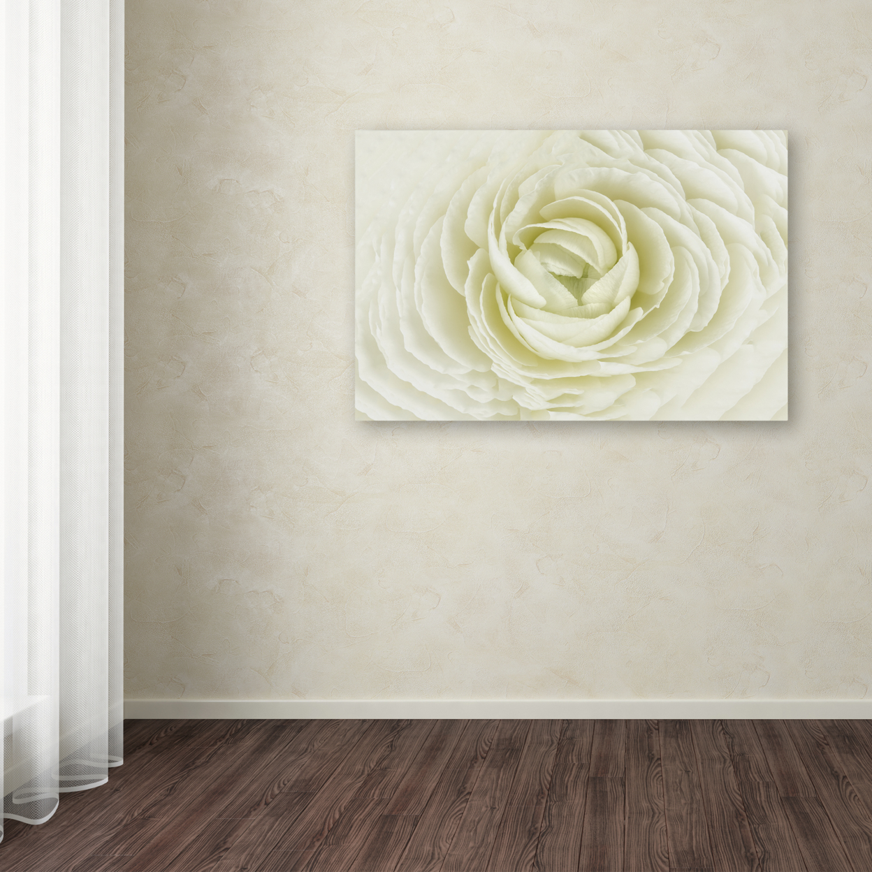Cora Niele 'White Persian Buttercup' Canvas Art 16 X 24