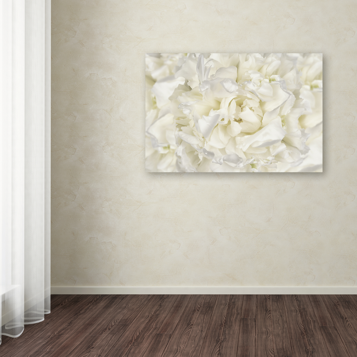 Cora Niele 'White Peony Flower' Canvas Art 16 X 24