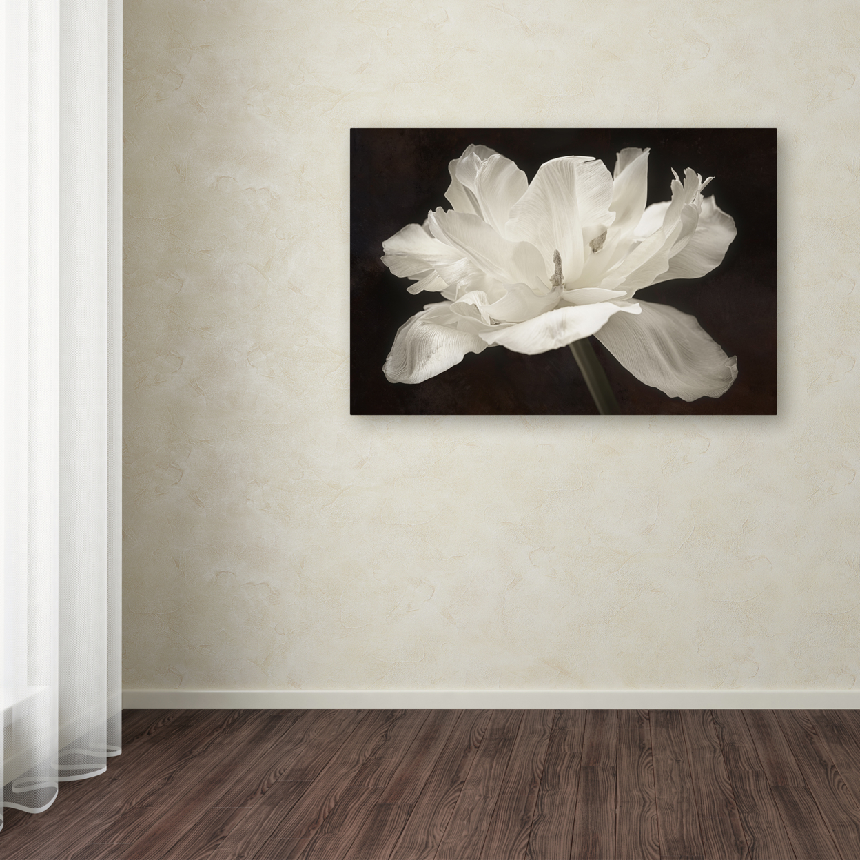 Cora Niele 'White Tulip I' Canvas Art 16 X 24