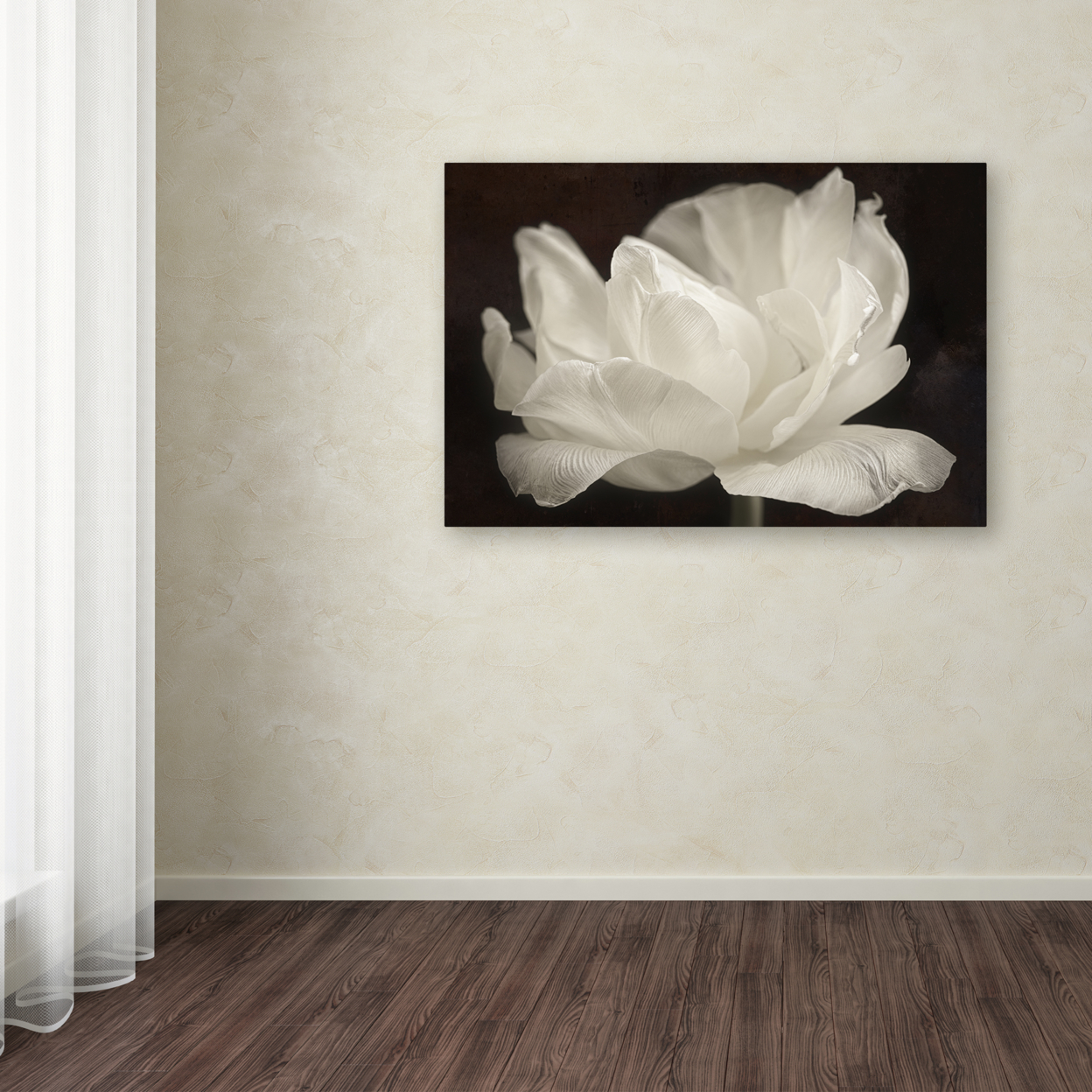 Cora Niele 'White Tulip III' Canvas Art 16 X 24