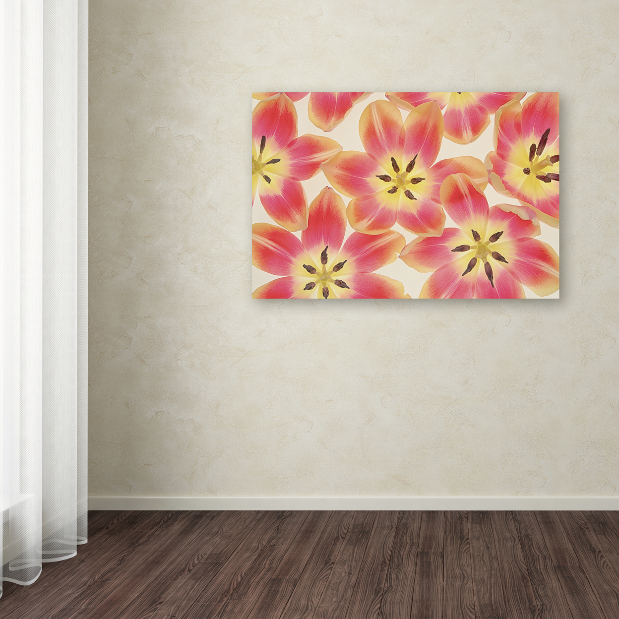 Cora Niele 'Yellow And Coral Red Tulips' Canvas Art 16 X 24