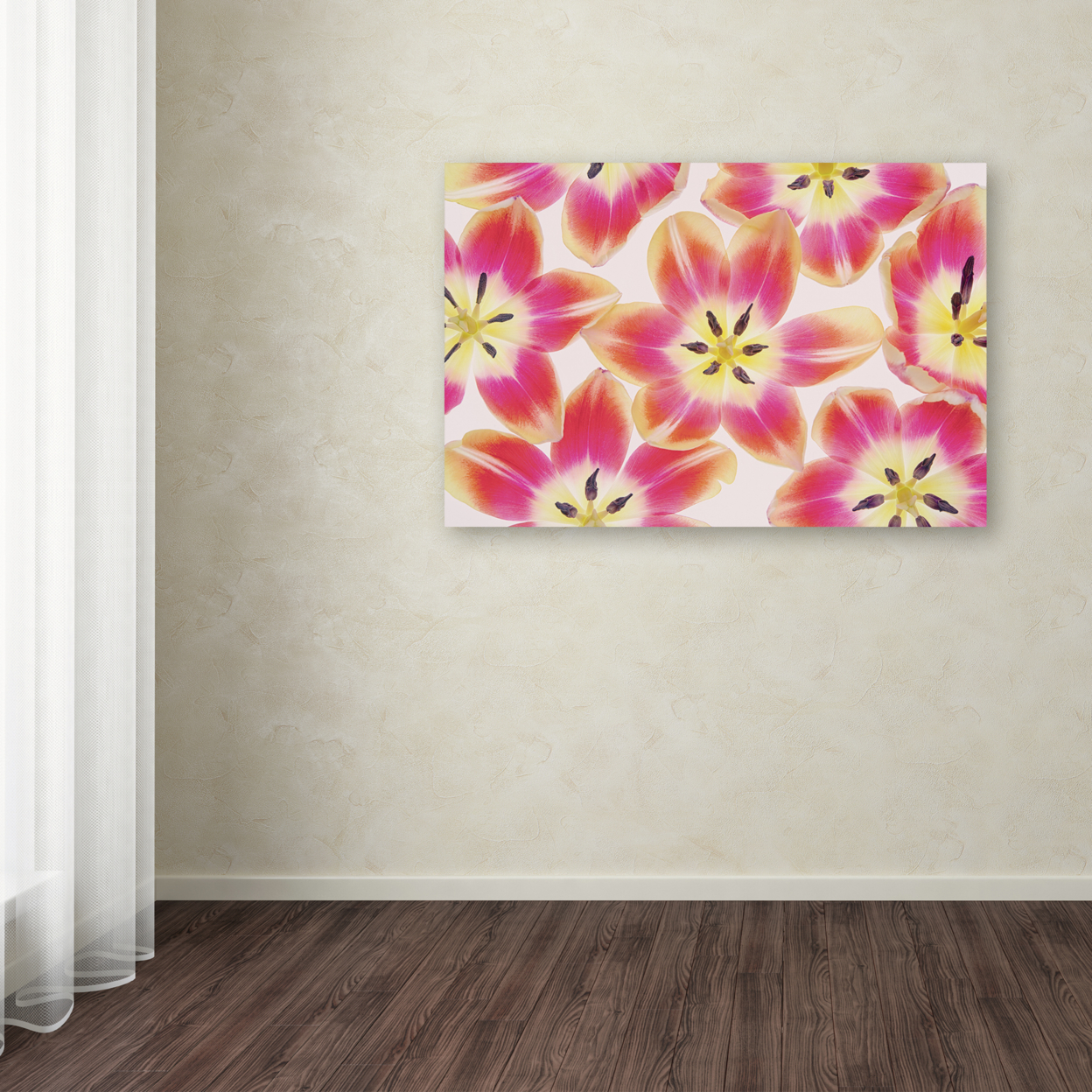 Cora Niele 'Yellow And Red Tulips' Canvas Art 16 X 24
