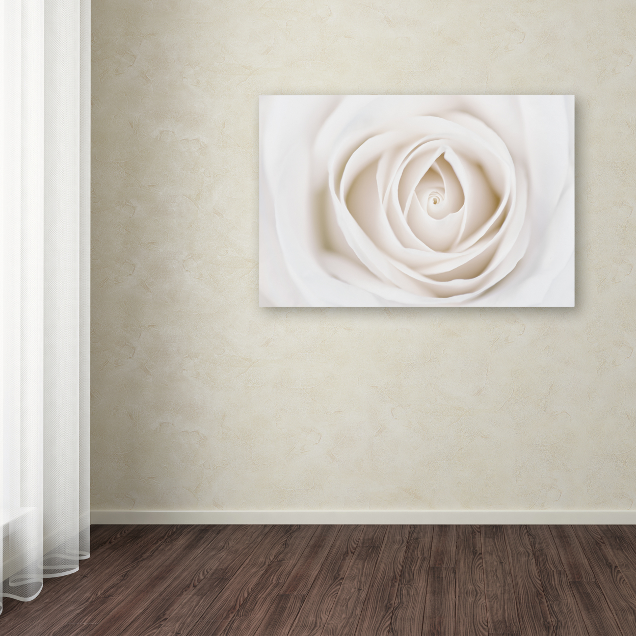 Cora Niele 'White Rose' Canvas Art 16 X 24