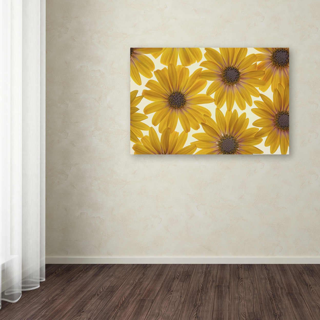 Cora Niele 'Yellow Cape Daisies' Canvas Art 16 X 24