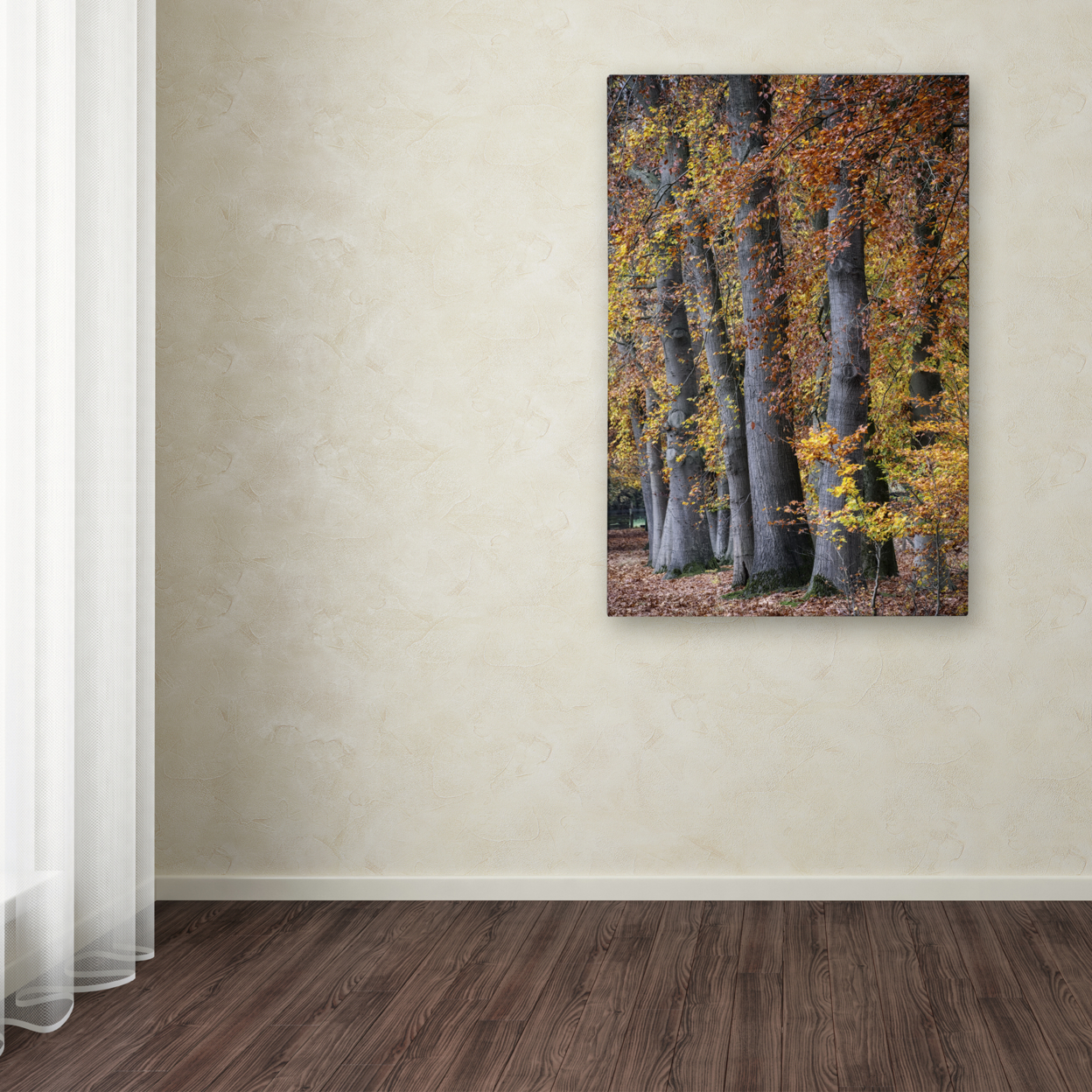 Cora Niele 'Autumn Beeches II' Canvas Art 16 X 24