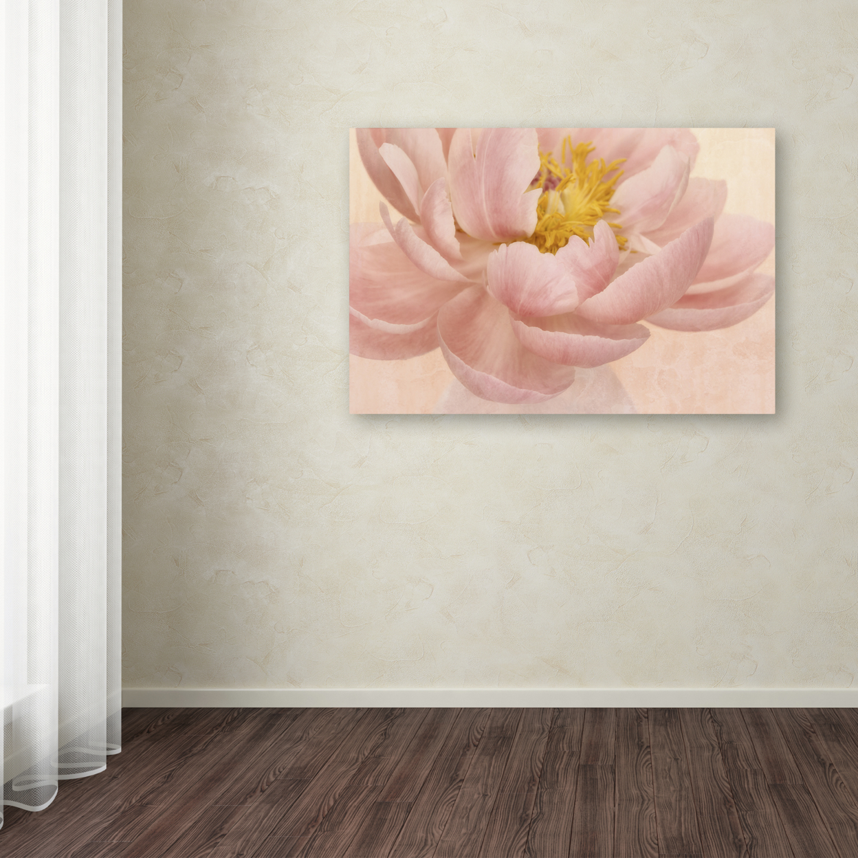 Cora Niele 'Pink Peony' Canvas Art 16 X 24