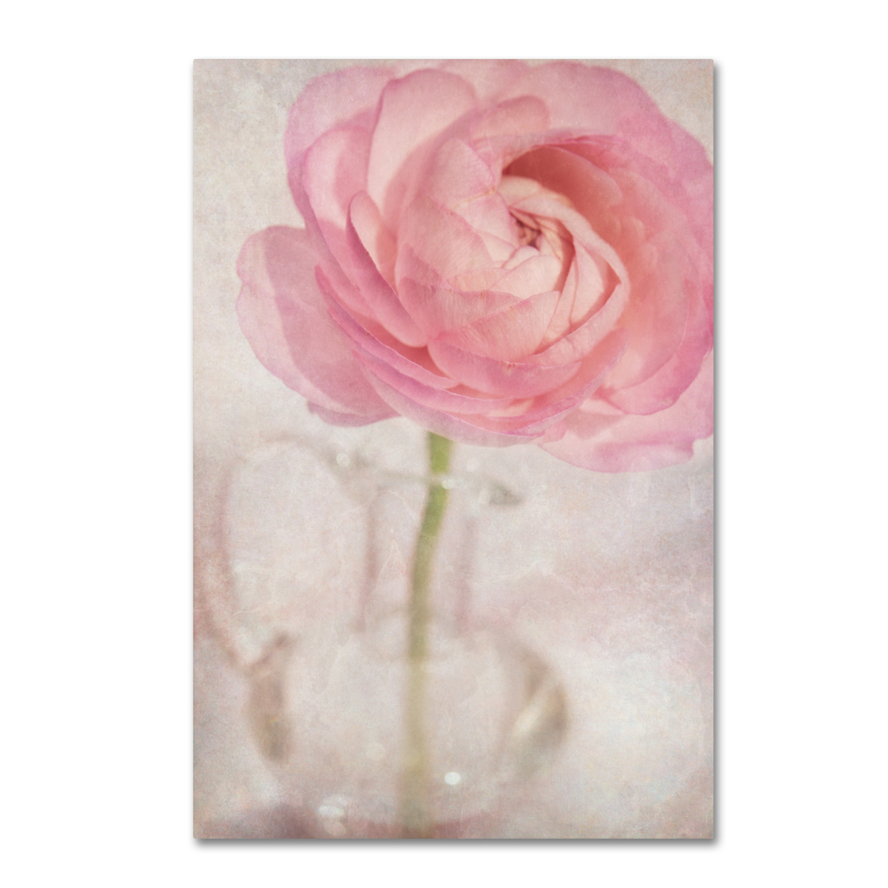 Cora Niele 'Single Rose Pink Flower' Canvas Art 16 X 24
