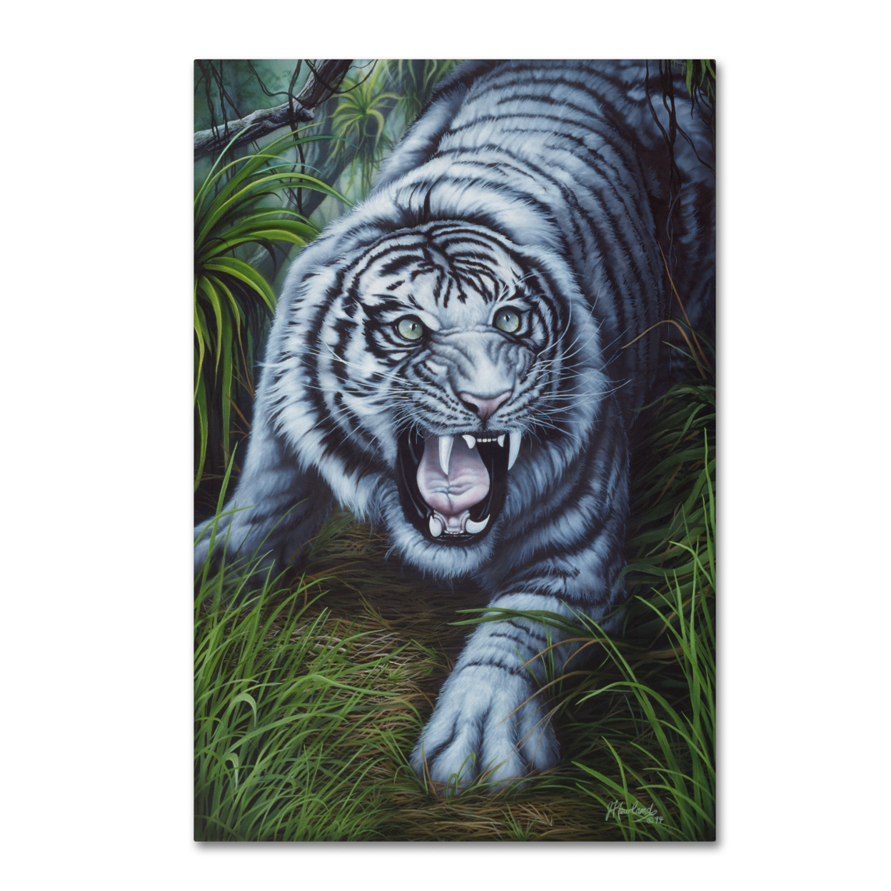 Jenny Newland 'White Tiger' Canvas Art 16 X 24