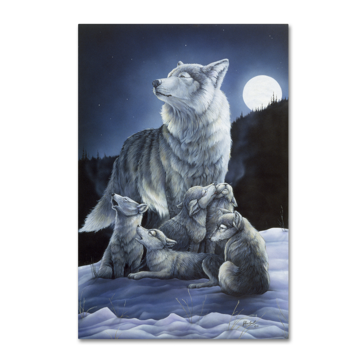 Jenny Newland 'Howling Lessons' Canvas Art 16 X 24