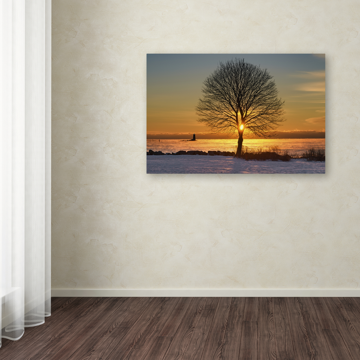 Michael Blanchette Photography 'Eye Of The Tree' Canvas Art 16 X 24