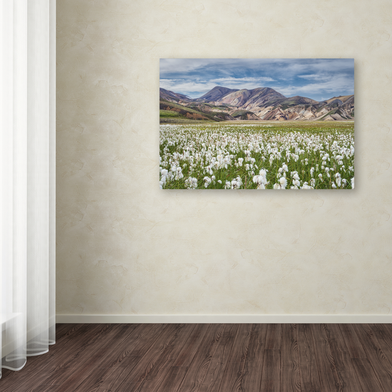 Michael Blanchette Photography 'Cotton Grass' Canvas Art 16 X 24